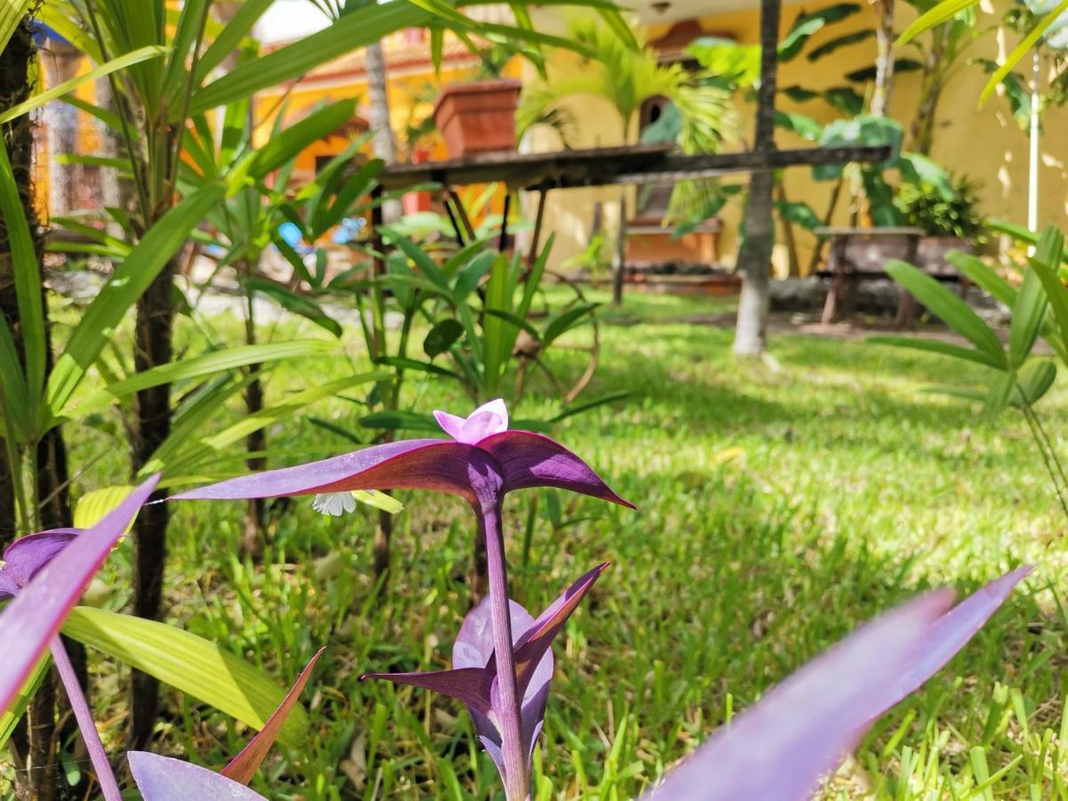 Hacienda Valentina Hotel Playa del Carmen Exterior photo